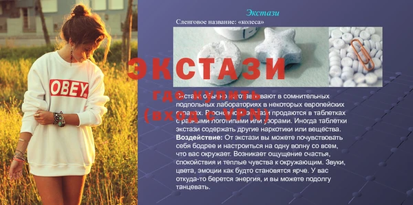 прущие грибы Алзамай