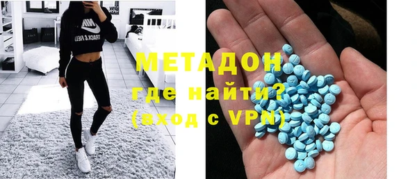 прущие грибы Алзамай