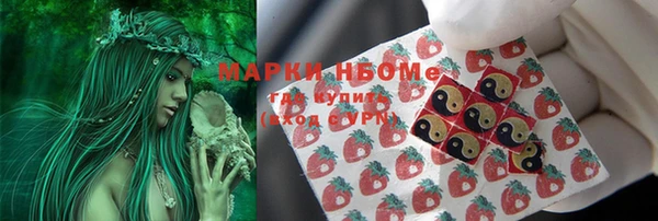 прущие грибы Алзамай