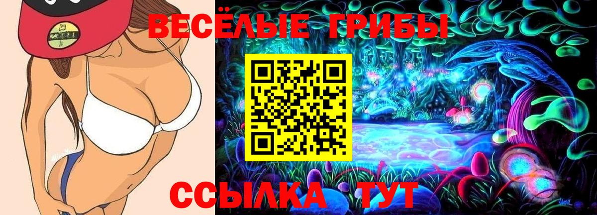 Псилоцибиновые грибы Psilocybine cubensis  Вход с VPN  Галлюциногенные грибы Psilocybine cubensis  Дубна 