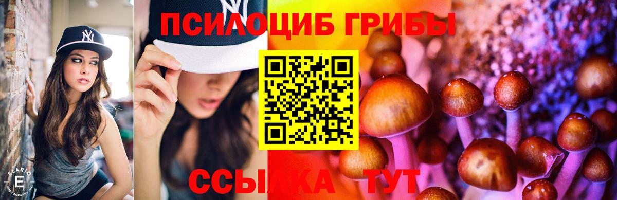Галлюциногенные грибы Psilocybine cubensis Дубна